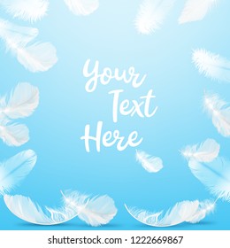 Vector illustration of frame realistic delicate white feathers on background with space for text