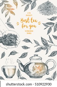  Vector illustration frame for Tea Shop. Vector card design with tea. Vertical poster for tea house. Vector hand drawn set. Linear graphic banner.