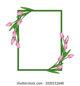 Vector illustration of a frame of a tulip