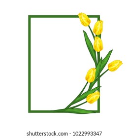 Vector illustration of a frame of a tulip