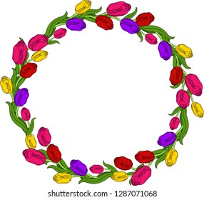 
vector illustration, frame tulip flowers
