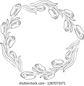 
vector illustration, frame tulip flowers