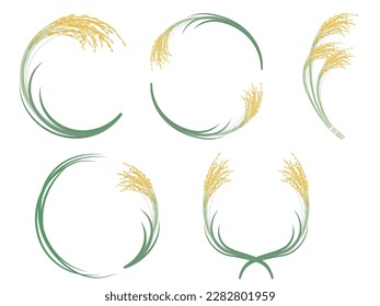 Vector illustration of a framed set of realistic ears of rice.