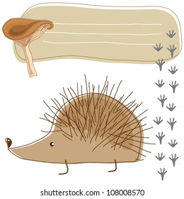 Vector illustration of frames with wild animals