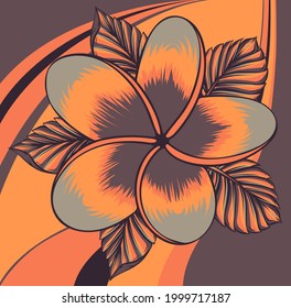 ilustración vectorial de la flor frangipani aislada en blanco