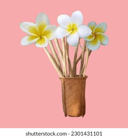 Vector illustration of frangipani flower in a wicker basket of natural material