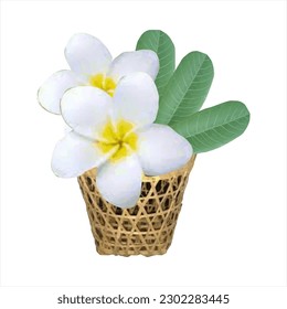 Vector illustration of frangipani flowers in a bamboo basket