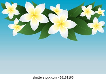 Ilustración vectorial de las flores frangipani sobre el cielo azul