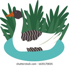 Vector illustration of a free range pomeranian goose swimming in water Cartoon flat style Organic farm Summer decorative banner Countryside and farmland, agricultural industrial set