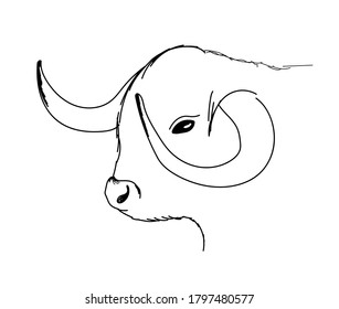vector illustration freehand sketch animal bull on isolated background, sketch cattle, symbol of 2021
