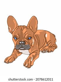 Vector Illustration of French Bulldog. Beautiful little dog with blue kind eyes. Postcard, banner poster with cartoon dog. 