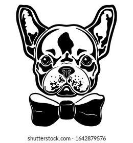 Vector illustration of a french bulldog with a bow. French Bulldog Boy