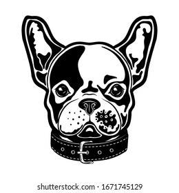 Vector illustration of a french bulldog with a bow. French Bulldog Boy
