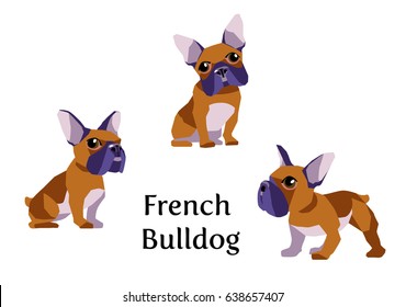 Vector illustration of French Bulldog in different poses isolated on white background.