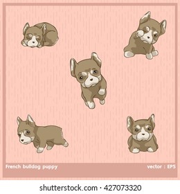 Vector illustration French bulldog puppy
