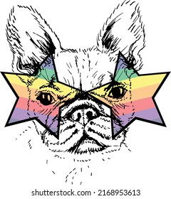Vector Illustration - French Bulldog wearing Rainbow Sunglasses - Frenchie Dog Portrait in Colorful Party Glasses