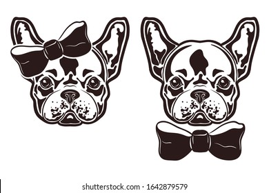 Vector illustration of french bulldogs with bows. French bulldogs girl and boy.