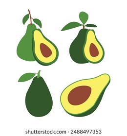 Vector Illustration of Fresh Avocado Fruit Design