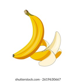 ilustração vetorial de fruta de banana fresca, banana foi descascada
