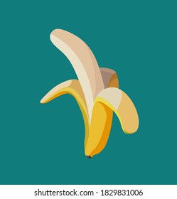 vector illustration of fresh banana. opened banana. Fruit. 