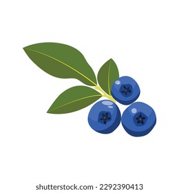 Ilustración vectorial de la bayeta fresca con hojas. Frutos dulces en color azul estilo de dibujos animados aislados en fondo blanco