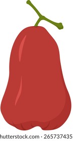 Vector illustration of a fresh, bright red water apple fruit with natural green leaves. it looks shiny and juicy, showing a bent shape
