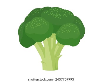Ilustración vectorial del brócoli fresco
