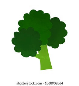 Ilustración vectorial de un brócoli fresco sobre fondo blanco
