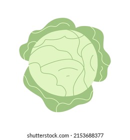 Vektorgrafik von Frischkohl im Flachstil. Grünes Blatt, gesundes veganisches Essen