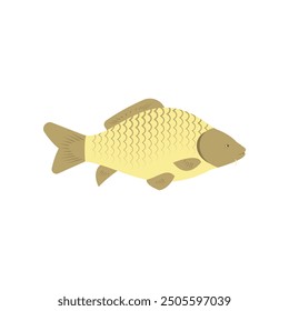 Vector illustration of fresh carp freshwater fish on white. For menu, label, recipe, product packaging. Freshwater food element. Action promotion and advertising. Caviar. EPS 10