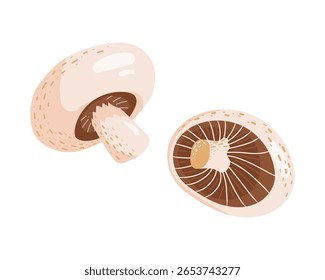ilustração vetorial champignon fresco, cogumelo vegetal maduro para comer, gourmet vegetariano