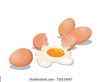 Vector illustration of fresh chicken eggs and crack egg with yolk and eggshell on white background. Baking and cooking Ingredients. Healthy organic food.