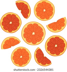 Ilustración vectorial de cortes de cítricos frescos de nueve piezas anaranjadas. Imagen de ensalada de frutas de verano de rodajas de naranja en vector. Ilustraciones de cítricos tropicales. 
