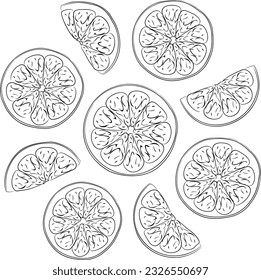 Ilustración vectorial de cortes de cítricos frescos de nueve piezas anaranjadas. Imagen de ensalada de frutas de verano de rodajas de naranja en vector. Ilustraciones de cítricos tropicales.