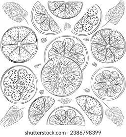 Vector illustration of fresh citrus cuts of lemon and lime pieces flavored with mint leaves. Lemon and lime slices and mint in vector. Illustration of citrus tropical fruits and mint