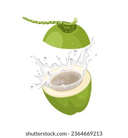 Vector illustration, fresh coconut with splashes of coconut water, isolated on white background.