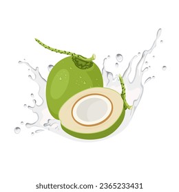 Vector illustration, fresh coconut with splashes of coconut water, isolated on white background.