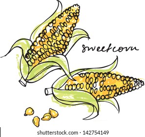 Vector illustration of fresh corn & kernels white background