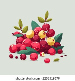 vector illustration Fresh Cranberry. Cranberries with leaves isolated