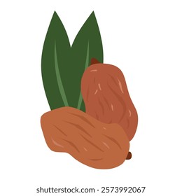 Vector illustration of fresh dates fruit with a natural and minimalistic design