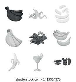 Vector illustration of fresh and diet icon. Collection of fresh and vegetarian stock vector illustration.