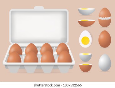 Vector illustration of fresh eggs in carton box and boiled egg