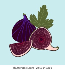 Vector illustration of fresh fig fruit. Whole fig, sliced fig, and fig leaf isolated on light background. Flat colorful design for food packaging, healthy eating, and kitchen decor.