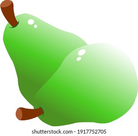 Vector illustration fresh fruit avocado