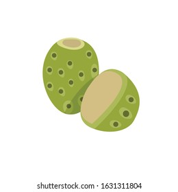 Vector illustration of fresh fruit - Vector isolated icons illustration