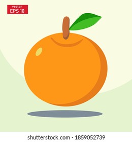 
ilustración vectorial de naranjas de fruta fresca. fruta fresca vectorial.