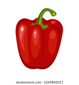 Vektorgrafik von frischem Obst von süßem, rotem Pfeffer einzeln auf weißem Hintergrund. Konzept für gesunde Lebensmittel.
