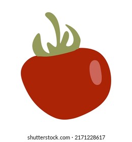 vector illustration, fresh fruit tomato, flat cartoon design style.