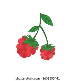 Vector illustration of fresh fruits - Vector isolated icons illustration