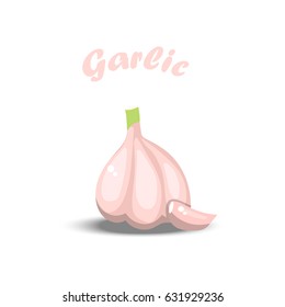 Vector illustration of fresh garlic bulb. Summer healthy food design. vegetarian or diet vegetable menu.